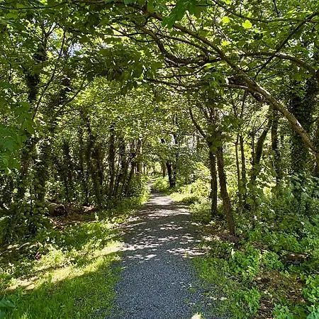 Luxury In Oranmore Semesterbostad *